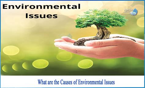 What are the causes of Environmental Issues - Netsol Water