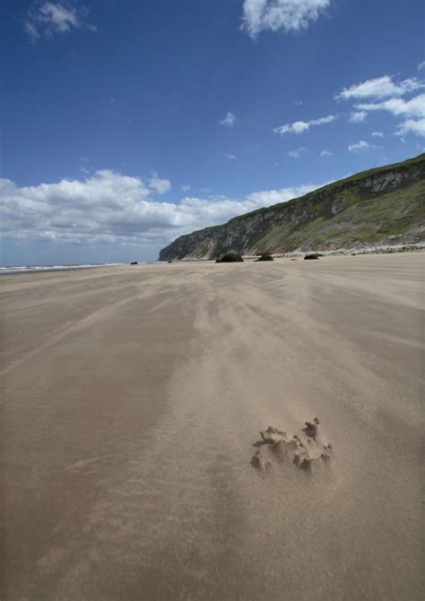 12 Best Beaches in Yorkshire for a Sandy Day Trip | Day Out in England