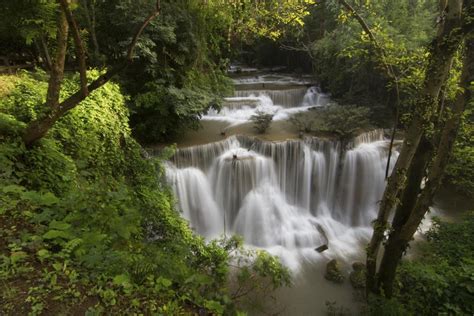 The 10 Best Khao Yai National Park Tours & Tickets 2021 - Bangkok | Viator