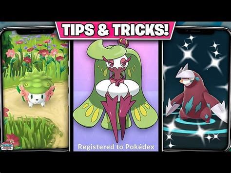 Can Bounsweet, Steenee, and Tsareena be shiny in Pokemon GO?