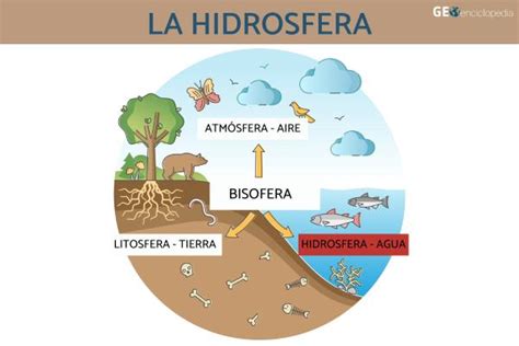 Hidrosfera: qué es y características - Resumen