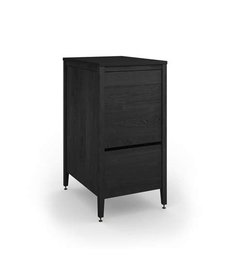 Radix Trash Kitchen Cabinet 2 Bins+1 Drawer 18 In Black/Bronze | coquo