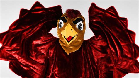 College Athletics' Hardest-Working Mascot — Saint Joseph's Hawk — Is ...