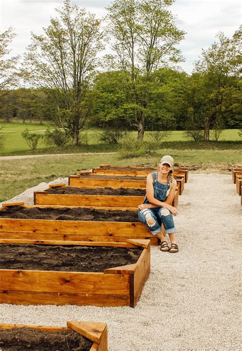 DIY Rasied Garden Beds DIY Raised Garden Beds DIY