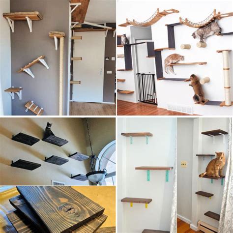 Diy Cat Shelves For Walls | Psoriasisguru.com