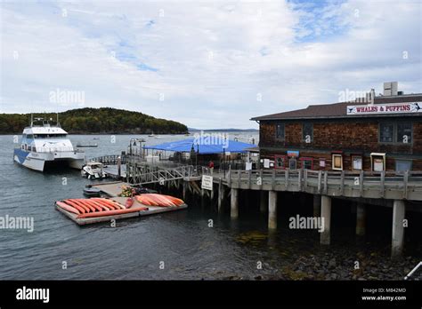 Puffin and Whale watching boats in Bar Harbor, Maine Stock Photo - Alamy