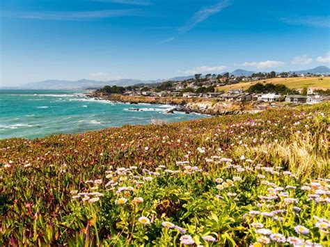 8 Things To Do In Cambria, CA: Beaches, Castles and Dining - Finding ...