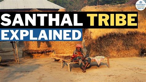 Santhal Tribe: History, Culture & Tradition | Tribes of Jharkhand | Jharkhand History -Chanakya ...