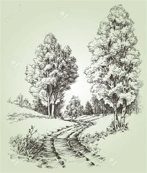 A path in the forest Stock Vector - 55852552 | Landscape sketch ...