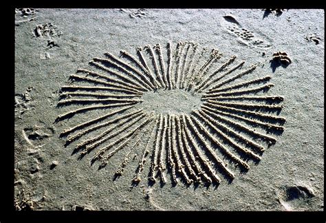 Sand drawing | Sand drawing, Abstract artwork, Drawings