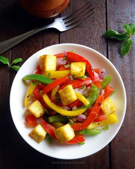 Paneer Salad - Indian Recipes - Blogexplore