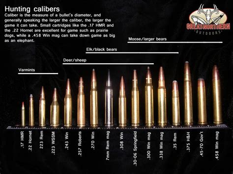 The Different Calibers Of Deer Hunting Ammo And Their Uses – Fight For ...