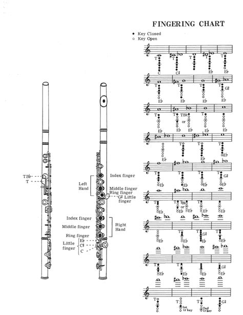 Flute Fingering Chart