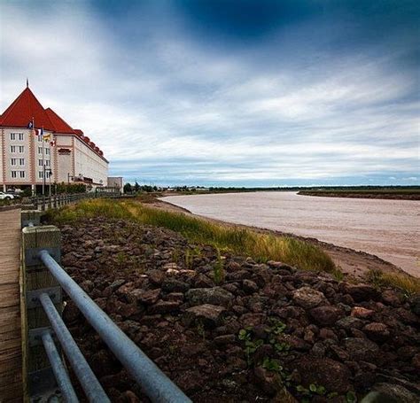 THE 15 BEST Things to Do in Moncton - 2024 (with Photos) - Tripadvisor