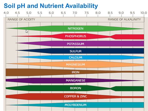 Nutrient Availability Chart