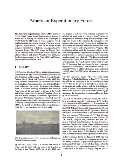 The American Expeditionary Forces in World War I: The Deployment and ...