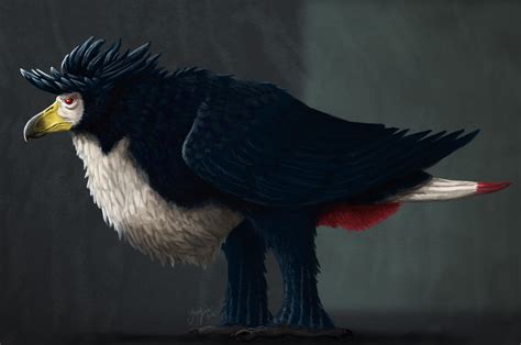 Honchkrow by YasminFoster on DeviantArt