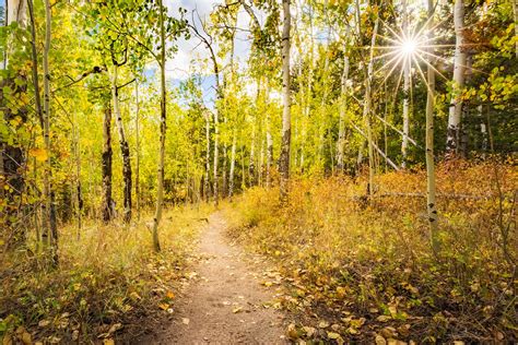 Hermit Park Open Space | Larimer County