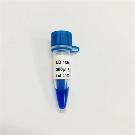 1000bp DNA Marker Electrophoresis , Gel Electrophoresis 1 Kb Dna Ladder