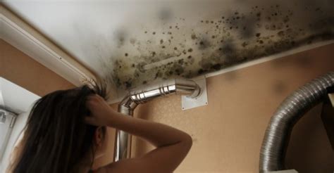 Black Mold Symptoms, Causes and Natural Remedies - Well-Being Secrets