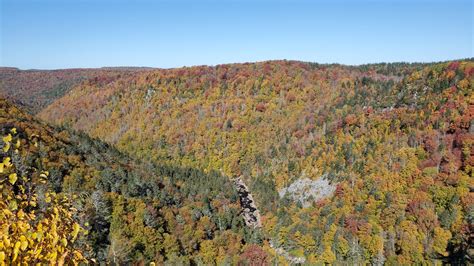 Blackwater Falls State Park | Miller Family Adventure