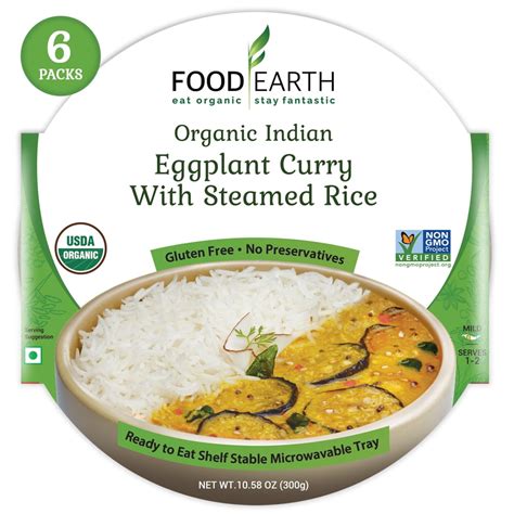 Food Earth - ORGANIC Ready to Eat Indian Meals (6-Pack) – Organic Indian Eggplant Curry with ...