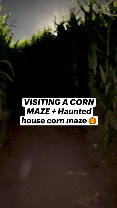 VISITING A CORN MAZE + Haunted house corn maze 🎃 | Corn maze, Corn maze ...