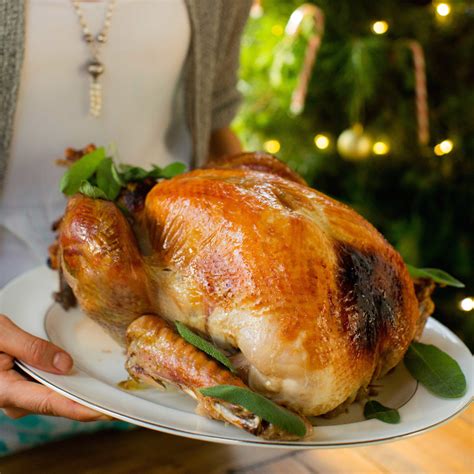 Christmas Turkey Recipes