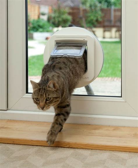 Make your Cat Feel at Home with the SureFlap Microchip Cat Door - GetdatGadget | Pet door, Cat ...