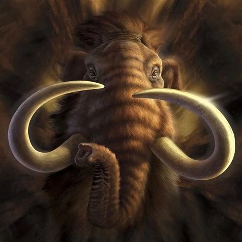 Full on view of a Woolly Mammoth Our beautiful Wall Art and Photo Gifts ...