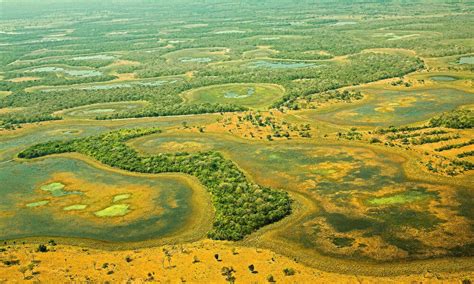 5 interesting facts about the Pantanal, the world’s largest tropical wetland | Stories | WWF