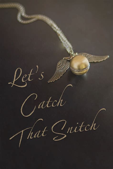 Catch that Snitch - Quidditch | Muggle quidditch, Quidditch, Quidditch aesthetic