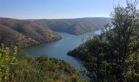 The International Nature Reserve of the Tagus River - Discovering the ...