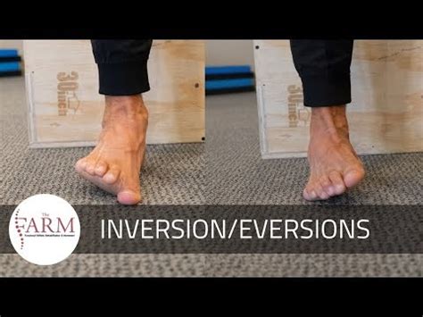 Ankle Inversion Eversion Exercises - Fitness | NoahStrength.com