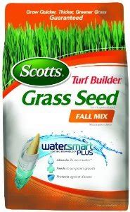 10 Best Fall Grass Seeds in 2019