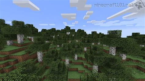 Minecraft Biomes | Minecraft 101