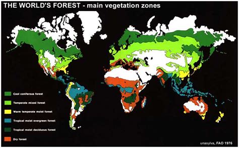 Forest Types of the World - Forestrypedia