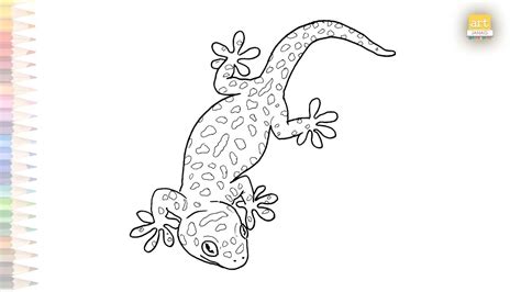 House Gecko coloring | How to draw House Gecko / House Lizard step by step | Gecko drawing ...