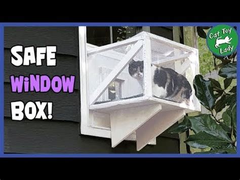 Diy Window Box For Cats : 12 Of The Cutest Window Catio Ideas On ...