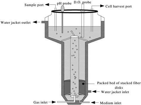 Schematic diagram of an airlift packed bed bioreactor (adapted from ...