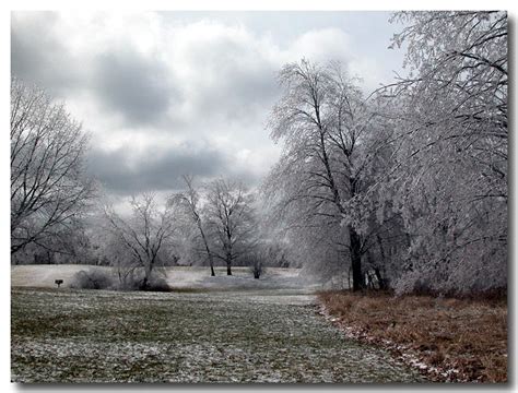 Ice Storm - Michigan Sunday April 6, 2003