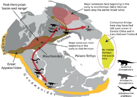 Pangea Map Fossil Evidence