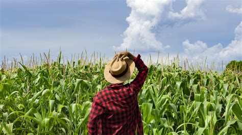 Celebrating Black History Month: 8 Contributions of Black Farmers to ...