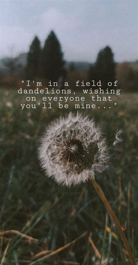 Dandelions Ruth G field aethetic wallpaper background Dandelion Lyrics ...