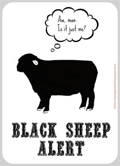 Quotes About Being The Black Sheep. QuotesGram