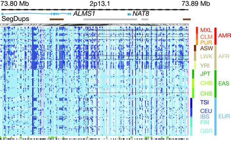 The 1000 Genomes Project more than doubles catalog of human genetic ...