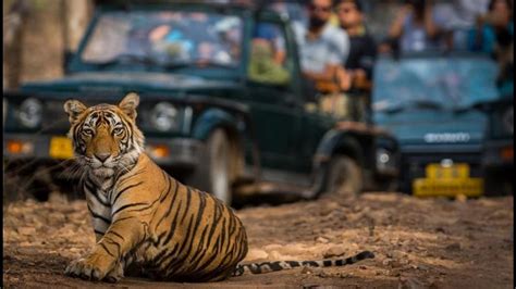 Corbett beyond jungle safari | Travel - Hindustan Times