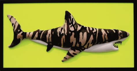 Camouflage Shark - Enrico Cecotto