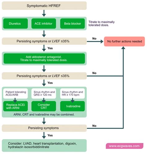 Heart failure: Causes, types, diagnosis, treatments & management – Cardiovascular Education