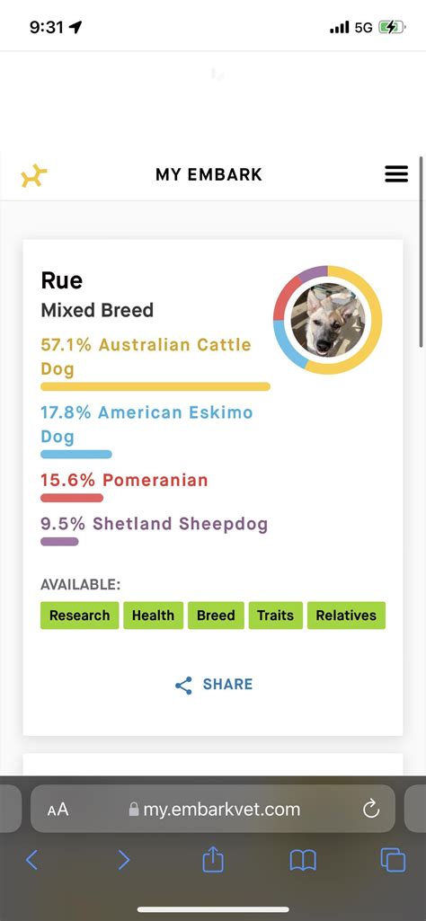 Embark Results :) : r/AustralianCattleDog